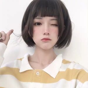 Short Brown Wig For Women Cap Wigs